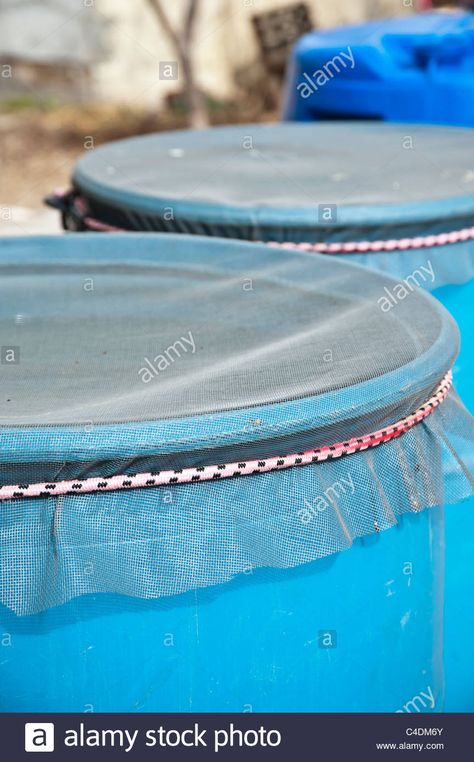 Download this stock image: The screen on the top of a rain barrel used to catch rain wate for use in the garden, Missoula Montana. - C4DM6Y from Alamy's library of millions of high resolution stock photos, illustrations and vectors. Rain Barrel System, Barrels Diy, Water Collection System, Water Barrel, Rain Collection, Missoula Montana, Rainwater Harvesting, Water Collection, Rain Barrel