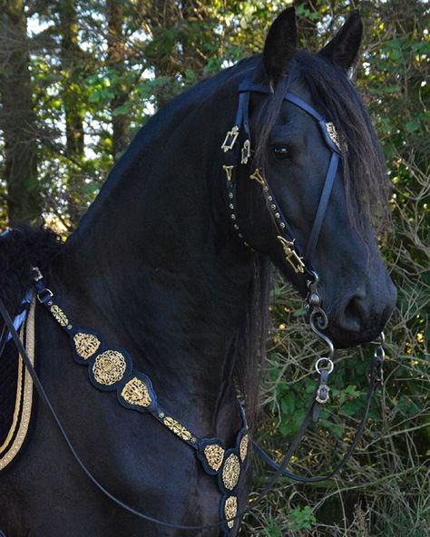 fairytales-and-campfires: “ I finished the new breastcollar for the horses yesterday. So nice that the boys use almost the same size, so I can use it on all of them! Now I just have to make a new... Cai Arabi, Medieval Horse, Cai Sălbatici, Horse Costumes, طابع بريدي, Horse Armor, Enchanted Wood, Fantasy Horses, Horse Bridle