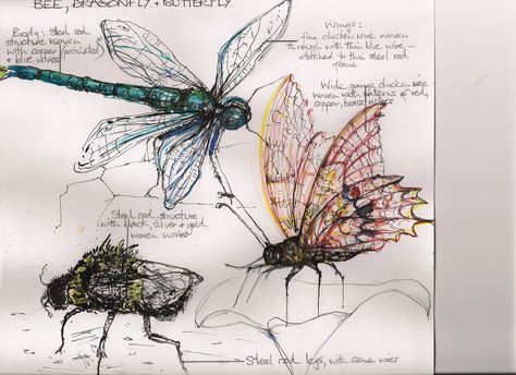 Duncan Cameron, Dragonfly Drawing, Writing Images, Wire Sculptures, Observational Drawing, Bug Art, Butterfly Drawing, Insect Art, Gcse Art