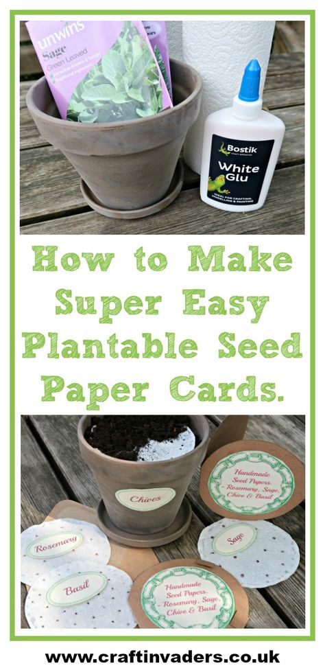 We show you how to make Super Easy Plantable Seed Paper Cards using Bostik White Glue and Kitchen Towel. Seed Paper Diy, Seed Paper Cards, Seed Cards, Craft Paper Wrapping, Seed Craft, Flower Seed Paper, Plantable Seed Paper, Paper Wrapping, Craft Stash