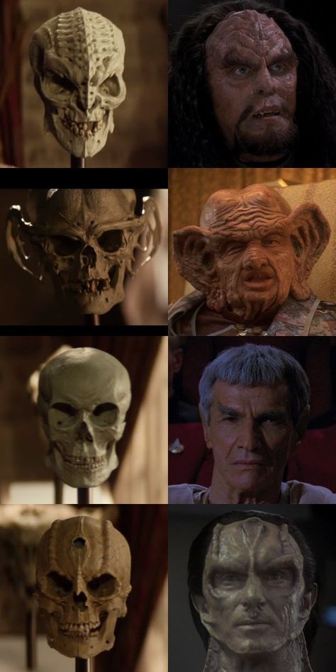 Gul Dukat Star Trek, Gul Dukat, Star Trek Species, Star Trek Meme, Aquaman Comic, Star Trek Quotes, Star Trek Merchandise, Skull Collection, Star Trek Episodes