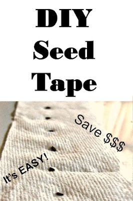 DIY Seed Tape - How to Make Your Own Seed Tape and Save - Proverbs 31 Homestead Seed Tape Diy, Diy Salad, Seed Tape, Seed Planting, Grow Wildflowers, Planting Tools, School Glue, White Glue, Seed Packets