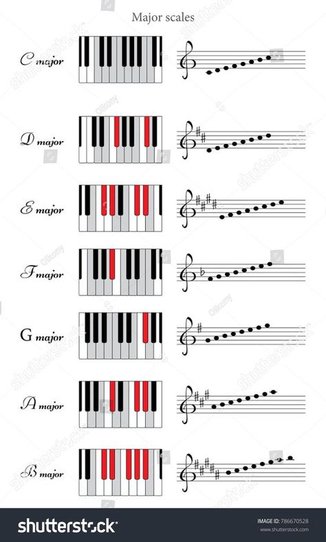 Piano Key Signatures, D Major Scale Piano, Piano Major Scales, C Major Scale Piano, Music Scales, C Major Scale, Ukulele Songs Beginner, Music Basics, Music Theory Piano