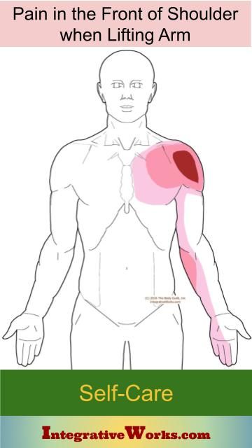 Front of shoulder pain when raising arm | Integrative Works Arm Muscle Pain, Shoulder Pain Remedies, Sore Shoulder, Shoulder Impingement, Tight Shoulders, Upward Facing Dog, Shoulder Pain Relief, Neck And Shoulder Pain, Arm Muscles