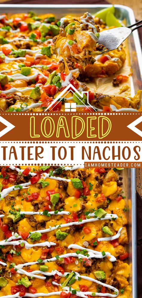 Tater Tot Lunch Ideas, Tarot Tot Nachos, Tator Tot Nachos Recipe, What Goes With Tater Tots, Beef Totchos Recipe, Loaded Tater Tot Nachos, Loaded Cheeseburger Tater Tots, Loaded Potato Tots Recipes, Recipes Using Frozen Tater Tots