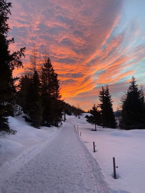 Winter Sunset Pictures, Winter Sunset Aesthetic, Snow Sunset, Sunset Snow, Acrylic Nails Natural, Skiing Aesthetic, Cute Backgrounds For Iphone, Snow Trip, Winter Sunset