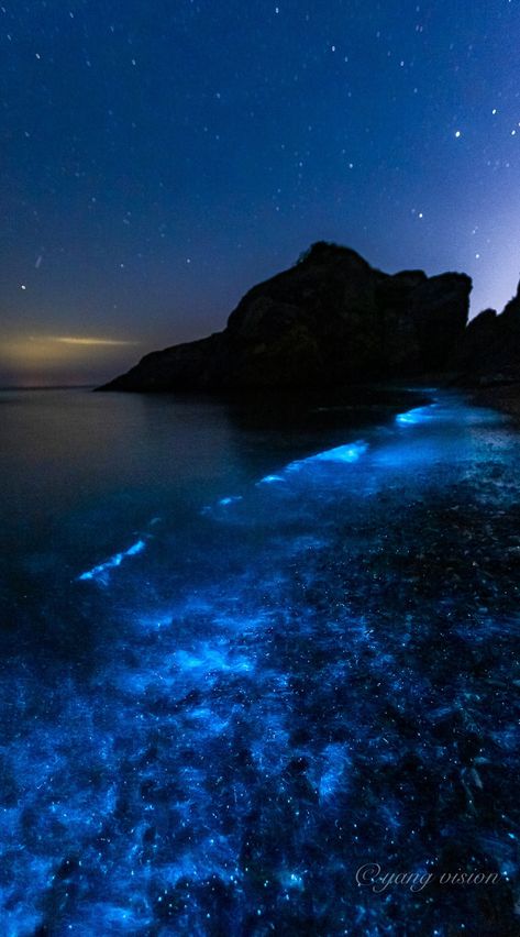 Bioilluminescent Beach, Bioluminescence Beach Aesthetic, Blue Glow Aesthetic, Bioluminescent Ocean, Bioluminescence Beach, Bioluminescence Aesthetic, Neon Ocean, Glowing Ocean, Sea Core