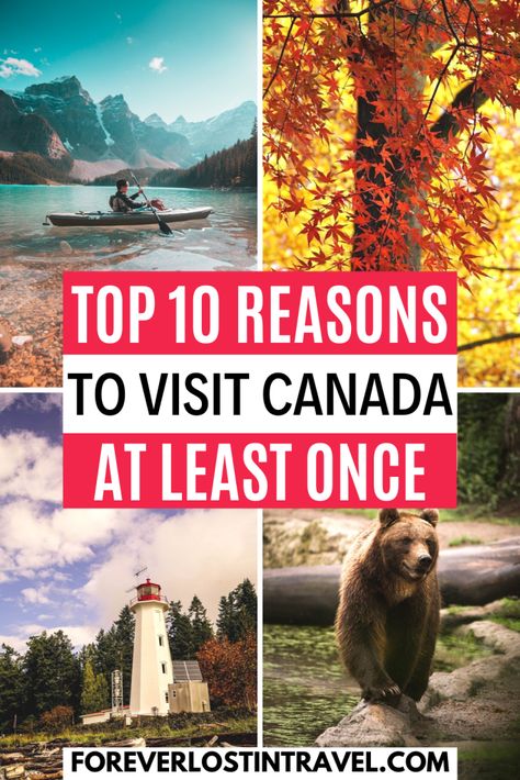 Top 10 Reasons To Visit Canada At Least Once - Forever Lost In Travel Trip To Canada, Backpacking Canada, Canada Country, Canada Holiday, Canada Travel Guide, Canadian Travel, Canada Road Trip, Travel Canada, Canada Destinations