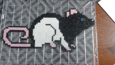 Black Hooded Rat Perler Beads Perler Bead Rats, Rat Perler Beads, Rat Crafts, Hooded Rat, Pokemon Bead, Diy Perler Bead Crafts, Beads Designs, Hama Beads Patterns, Diy Perler Beads