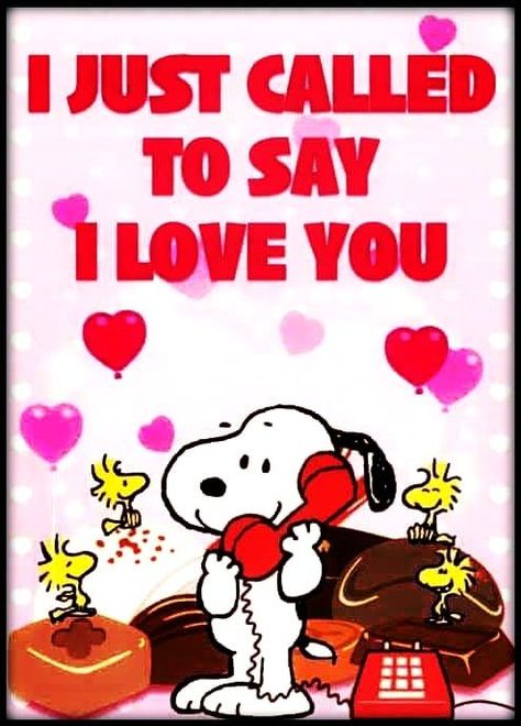 I just called to say I love you love love quotes quotes quote relationship relationship quotes love sayings love pictures i love you quotes love image quotes best love quotes love quotes for instagram facebook love quotes love.pic love captions love pictures for her short love captions love images and quotes love quotes 2021 Snoopy Song, Snoopy Videos, Snoopy Happy Dance, Snoopy Dance, Good Morning Snoopy, Snoopy Valentine, Snoopy Dog, Happy Day Quotes, Hug Quotes