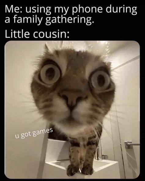 20 Wholesome Cat Memes For People Wishing They Were At Home With Their Cats Right Now - I Can Has Cheezburger? Weak Men, Marriage Help, Dungeons And Dragons Game, Marriage Humor, Parenting Fail, Got Game, Dragon Games, Scene Design, Good Marriage