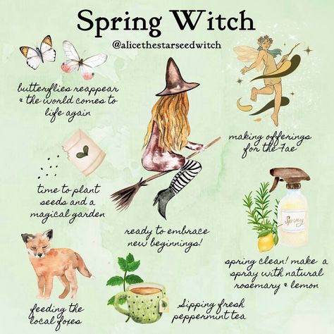 Alice Kendall | SPRING WITCH 🌷 Hi all! I’m back from my insta break. Today is March 29th and I think we are finally in Spring now - *happy dance!* (and… | Instagram January Witch, Witch Seasons, Hygge Witch, Witchcraft Ideas, Witch Spring, Spring Witch, Types Of Witchcraft, Spiritual Witch, Witch School