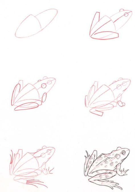 How To Draw Toad, Frog Tutorial Drawing, How To Draw Frogs, Frog Drawing Reference, Frog Drawing Step By Step, Toad Sketch, Art Sketches Step By Step, Frog Drawing Tutorial, Drawings Of Frogs