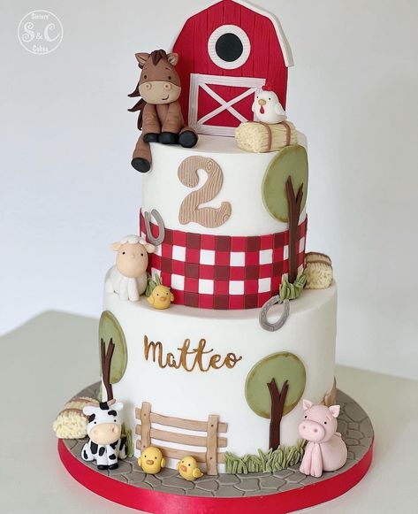 Simple Barnyard Birthday Cake, Petting Zoo Birthday Cake, Three I E I O Cake, Farm Birthday Cake Ideas, Not My First Rodeo 2nd Birthday Cake, Birthday Cake Farm Theme, Farm Birthday Party For Boys, Farm Cake Ideas, Farm Animals Birthday Cake