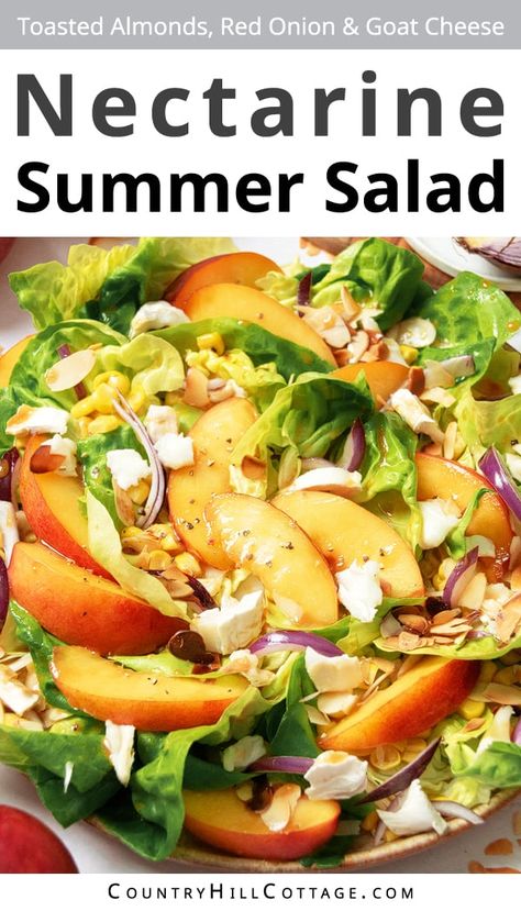 This lovely nectarine salad with creamy goat cheese, tasty red onion, and crispy toasted almonds is a great summer salad. Drizzle this refreshing nectarine salad with an easy homemade balsamic vinaigrette for the perfect appetizer or lunch. This salad recipe is a breeze and only takes a couple of minutes to whip up. And it’s so easy to make your own dressing. Make variations with raspberries, blueberries, peaches, walnuts, grilled chicken, salmon, chickpeas, or quinoa. | CountryHillCottage.com Nectarine Salad Recipes, Recipes With Nectarines, Nectarine Goat Cheese Salad, Salad Nectarine, Salmon Chickpeas, Roasted Nectarines, Spring Mix Salad Recipes, Nectarine Salad, Nectarine Recipes