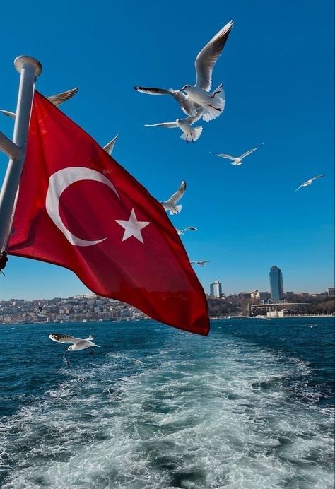 Turkey Pics, Turkey Places, Istanbul Turkey Photography, Turkey Flag, Turkish Flag, Moonlight Photography, Istanbul Photography, Istanbul City, Turkey Photos