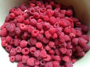 Seedless Raspberry Jam Recipe, Raspberry Jelly Recipe, Garden Preservation, Seedless Raspberry Jam, Low Sugar Jam Recipes, Pectin Recipes, Low Sugar Jam, Homemade Raspberry Jam, Raspberry Jam Recipe