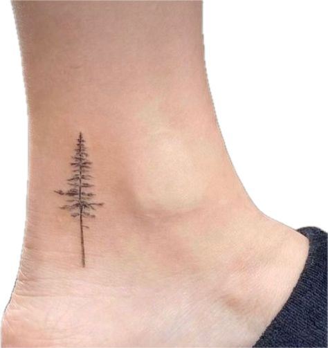 Pine Tattoo Design, Fineline Pine Tree Tattoo, Pine Tree Finger Tattoo, Norway Pine Tattoo, Michigan Inspired Tattoos, Western Red Cedar Tattoo, Tamarack Tattoo, Longleaf Pine Tattoo, Woods Tattoo Women