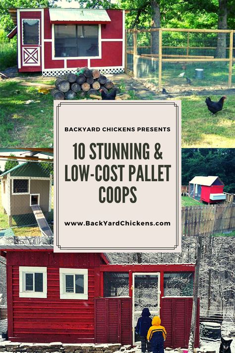 Palette Chicken Coop Diy, Pallet Coop Plans, Nature, Chicken Coop Pallet Ideas, Chicken Coop Pallets Plans, Chicken Coop Using Pallets, Chicken Coop For 10 Chickens Plans, Simple Coop Ideas, Chicken Coop With Pallets Diy