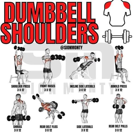 Shoulder Dumbbell Workout, Full Shoulder Workout, Dumbbells Workout, Dumbbell Workout Plan, Shoulder Workouts For Men, Shoulder Workout At Home, Pull Day Workout, Dumbbell Back Workout, Shoulder Workout Routine