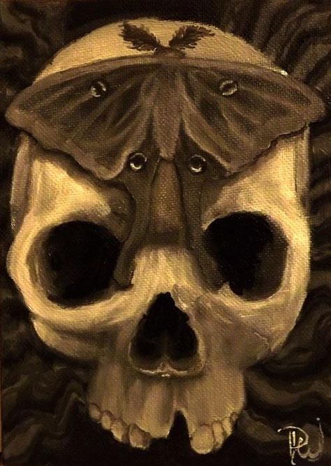 #skull #moth Deathshead Moth Art, Oddities And Curiosities Drawings, Moth Oil Painting, Oddities Painting, Moth Aesthetic Dark, Graveyard Garden, Moth Oc, Moth Artwork, Mythical Art