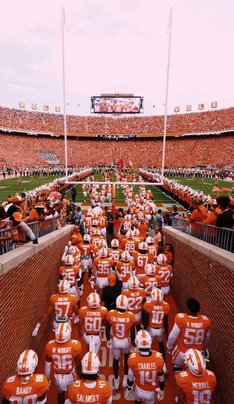 Tennessee Vols Aesthetic, University Of Tennessee Aesthetic, Tennessee Vols Wallpaper, Vols Wallpaper, Tennessee Wallpaper, Clemson University Campus, Austin Texas Outfits, Texas University Longhorns, Univ Of Tennessee