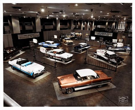 mid '50s Packard showroom Car Showroom Architecture, Packard Cars, 50s Cars, Luxury Garage, Car Museum, American Classic Cars, Car Showroom, Showroom Design, Beautiful Cars