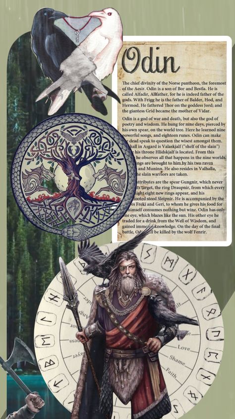 Checkout lifeguidedi's Shuffle #norsemythology #norse #viking #alfadir #allfather #odin #gods #shufflefyp #mythology #mythologyaesthetic #mythological #aestheitc Odin Mythology, Odin Allfather, Odin Norse Mythology, Odin's Ravens, Odin God, Norse Pagan, Norse Runes, Norse Vikings, Mythology Art