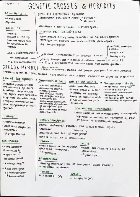 Genetics And Heredity Notes, Biology Notes Genetics, Genetics Notes Biology Class 12, Mendelian Genetics Notes, Geneticist Aesthetic, Genetics Notes Biology, Heredity Notes, Genetics Notes, Genetics Aesthetic