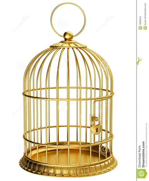 Worst Inventions, Photo Gold, White Illustration, Ap Art, Bird Cage, Feature Film, Photo Illustration, Hanging Chair, Free Trial