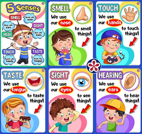 5 Senses Preschool, Five Senses Worksheet, Five Senses Preschool, 5 Senses Activities, Preschool Charts, Senses Preschool, My Five Senses, Senses Activities, Preschool Science Activities