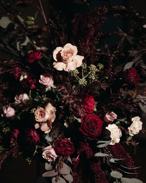 Dark, moody, glamorous & romantic ❤️ Phil & Louise Photographer: @maeganbrownmoments Dress: @jennypackham Cake: @sweetcakesofmine Florist: @bouquetmelbourne Band: @bakerboysband Coordinator: @weddings.by.e Venue: @library_vic / @weddings_showtimeeventgroup Hair & Makeup: @am.mua #burgundyweddingflorals #weddingfloralsmelbourne #weddingflowersmelbourne #weddingbouquet #weddingfloristmelbourne #melbourneweddingflorist #weddingflowers #weddingflorist #bridalbouquet #melbournewedding Dark And Moody Wedding Florals, Dark Fall Bouquet, Dark Moody Wedding Bouquet, Dark Colors Wedding, Moody Romantic Wedding Flowers, Winter Wedding Moody, Gothic Wedding Florals, Cabernet Wedding Flowers, Dark Floral Bouquet