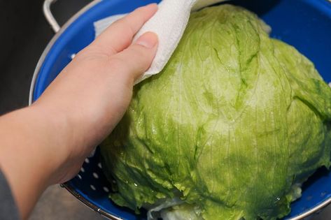 Storing Lettuce, Iceberg Lettuce Salad, Food Basics, Amazing Food Hacks, Head Of Lettuce, Iceberg Lettuce, Lettuce Salad, Main Dish Salads, Lettuce Leaves