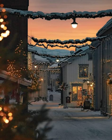 Nordland, Winter Mood, San Francesco, Days Until Christmas, Europe Map, Tromso, Stavanger, Winter Vibes, Christmas Vibes