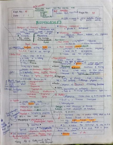 Notes of Biomolecules chapter of Class XI Biomolecules Notes, Biochemistry Notes, Neet Notes, Biology Diagrams, Nurse Study Notes, Physics Notes, Physical Chemistry, Study Flashcards, Chemistry Notes