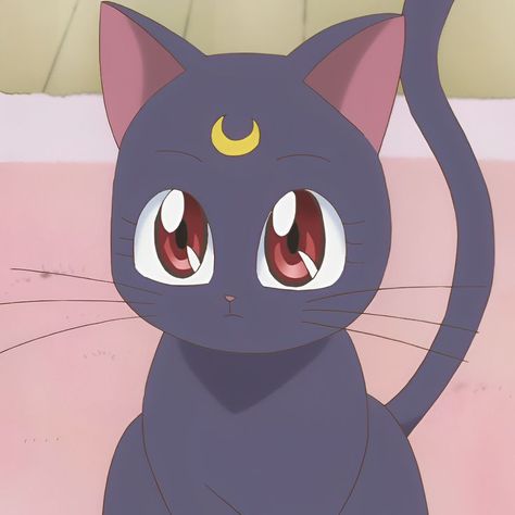 𝒔𝒂𝒊𝒍𝒐𝒓 𝒎𝒐𝒐𝒏 𝒄𝒓𝒚𝒔𝒕𝒂𝒍 Sailor Moon Cat, Sailor Moon Luna, Moon Luna, Moon Icon, Moon Crystal, Sailor Moon Crystal, Sailor Scouts, Studio Ghibli, Me Me Me Anime