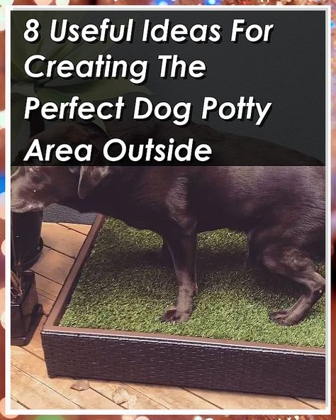 Transform your outdoor space with our guide on creating the perfect dog potty area outside. Discover 8 useful ideas that will make potty training a breeze while keeping your yard clean and tidy. From choosing the right materials to incorporating design elements that blend with your landscape, this pin offers practical tips for every dog owner. Say goodbye to messy accidents and hello to a functional, stylish potty area for your furry friend. Dog Potty Area Outside, Dog Potty Area, Useful Ideas, Dog Potty, Dog Area, Kinds Of Dogs, Potty Training, Dog Owner, Beautiful Dogs