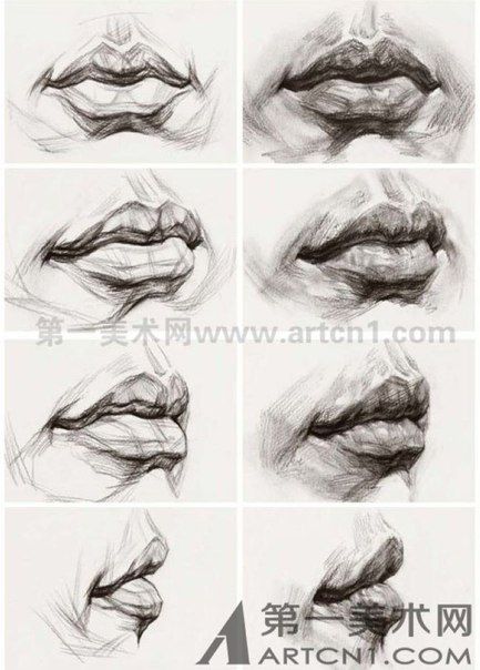 Lips Reference Photo, Lip References, Ako Kresliť, Portrait Au Crayon, Draw Lips, Mouth Lips, 얼굴 드로잉, 얼굴 그리기, Anatomy Sketches