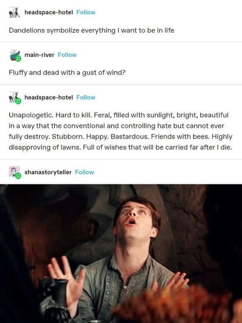 Funny Tumblr, A Dandelion, Funny Tumblr Posts, I Want To Be, What’s Going On, The Witcher, Tumblr Posts, Tumblr Funny, Pretty Words