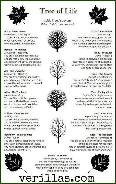 For me: The Willow (my favorite tree!!) Celtic Tree Astrology, Witch Tips, Magickal Herbs, Aries Astrology, Magia Das Ervas, Fun Sayings, Woo Woo, Moon Witch, Celtic Mythology