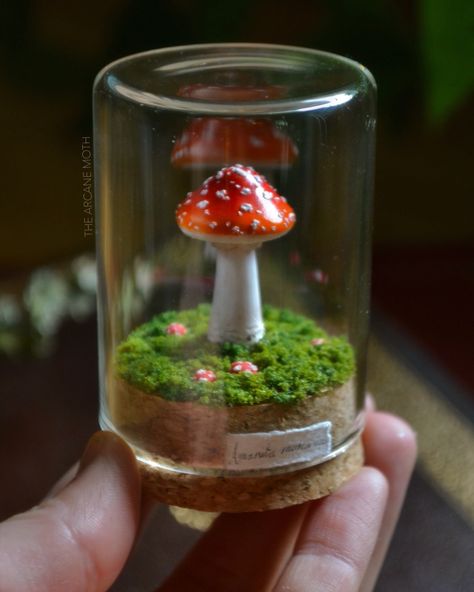 It's officially Autumn!! 🍂 Miniature sculpture jars will be returning for my fall collection! 🍄🎃 I always have so much fun making these pieces! I really love to sculpt all the little mushrooms, pumpkins, and tiny creatures and create tiny worlds for them in the curio jars :) I'd love to recreate some of these designs and do some new ones too!! Let me know what you guys would like to see more of in this collection!!! 🦇 • #mushroomart #fungiart #mushroomlove #amanita #mushroomcore #goblin... Mason Jar Mushroom, Whimsy Jars, Mushroom In A Jar, Mushroom Miniature, Mushroom Sculpture, Mushroom Core, Cloche Decor, Fungi Art, Clay Mushroom