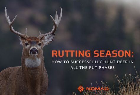 Rutting Season: How to Successfully Hunt Deer in All the Rut Phases Deer Rut, Deer Hunting Gear, 30 November, Deer Hunters, Hunting Gear, The Eighth Day, Kids Outerwear, November 17, Deer Hunting