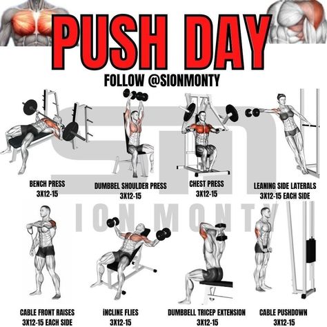 Push Pull Legs Workout, Push Day Workout, Pull Day Workout, Push Pull Legs, Dumbbell Shoulder Press, Workout Program Gym, Push Workout, Work Out Routines Gym, Push Day