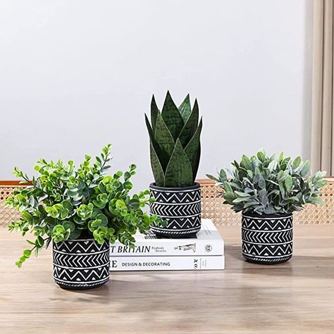 Bathroom Table Decor, Home Office Farmhouse, Office Plants Desk, Bedroom Ideas For Small Rooms Diy, Bathroom Table, Office Farmhouse, Sage Plant, Desk Plants, Hanging Plant Wall