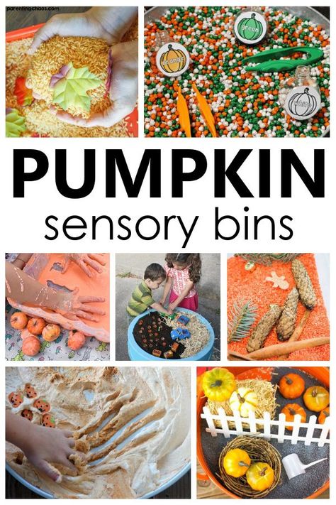 Pumpkin Sensory Bins for fall sensory play and autumn preschool activities Corn Sensory Bin, Pumpkin Sensory, Farm Sensory Bin, Fun On The Farm, Fall Sensory Bin, Fall Sensory, Harvest Corn, Pumpkin Life Cycle, Pumpkin Moon