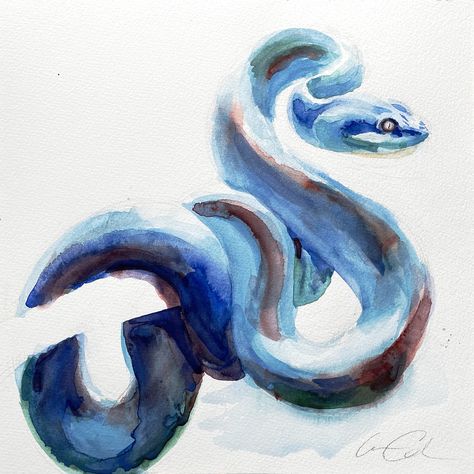 A blue snake painted in watercolor. The snake is coiled around a tree branch looking off to the right. Snake Painting, Coiled Snake, Snake Drawing, Spiritual Paintings, Blue Snake, Snake Art, Snake Eyes, Eye Painting, Water Art