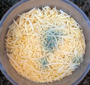 A container of moldy cheddar cheese. Moldy Cheese, Cheese Making Recipes, Cheese Mold, Ziploc Bag, Homemade Cheese, Food Saver, Food Info, Food Facts, How To Make Cheese