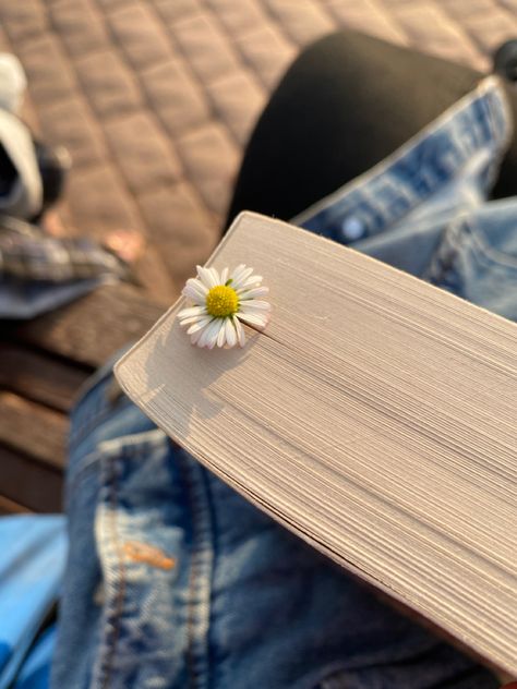 Pics With Books, Book Photography Aesthetic, My Vibe Aesthetic, Iphone Wallpaper Violet, Vibe Aesthetic, Flower Drawing Tutorials, Bookstagram Inspiration, Flowers Instagram, Book Instagram