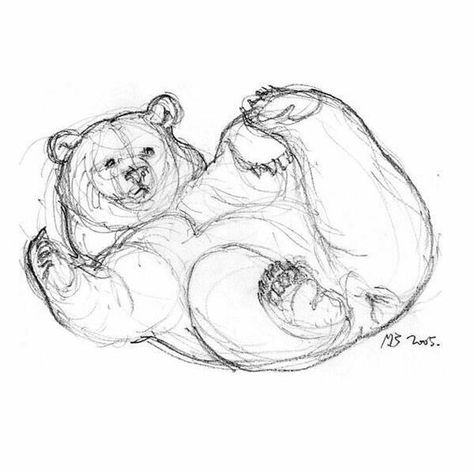 Bear Drawing Reference, Bear Drawing Sketches, Art Sketches Animals, Bear Art Drawing, Draw Bear, Animals Sketch, Bear Sketch, Bear Drawings, Animal Drawings Sketches