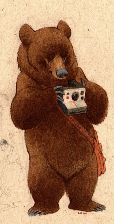 Bear Illustration, Brown Bear